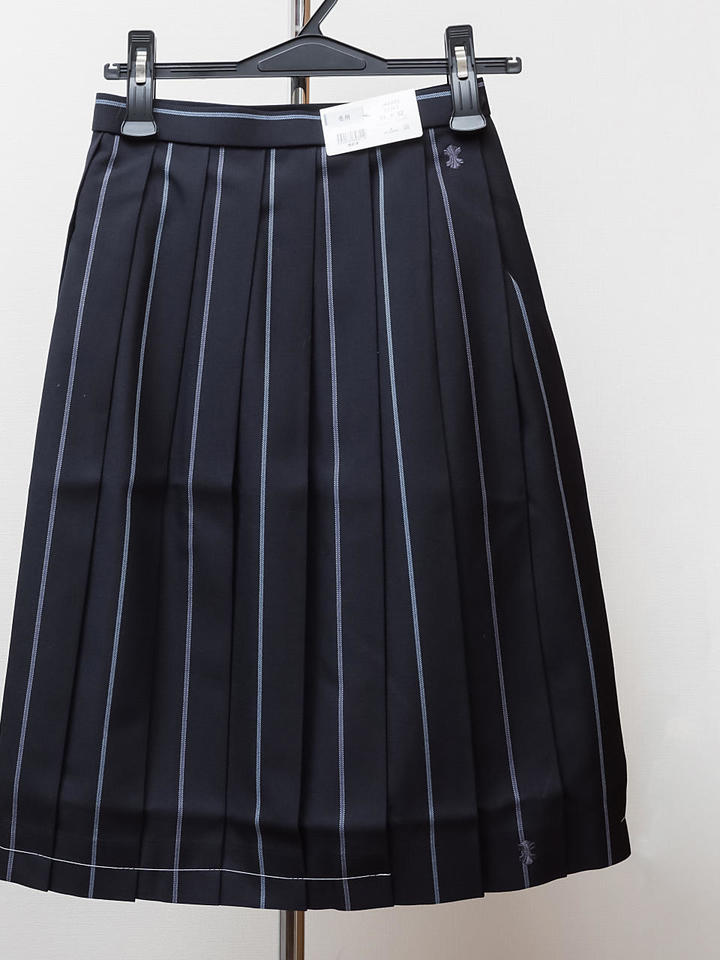 冬スカートの画像